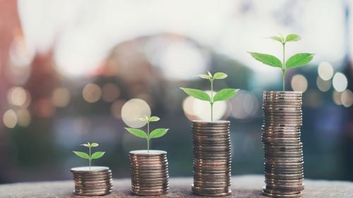 Setting Up Your Nonprofit for Financial Success